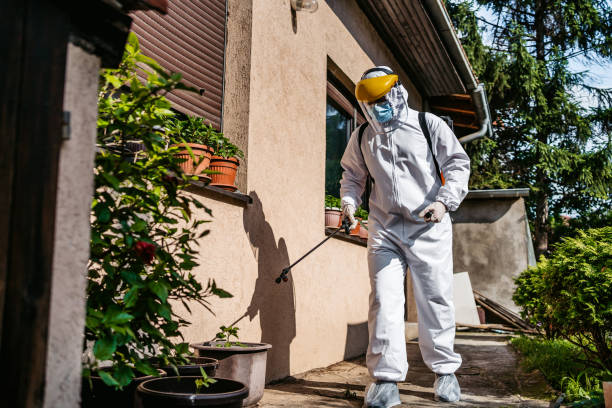 Best Pest Control Near Me in Depew, NY